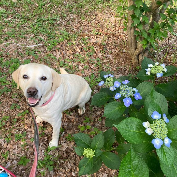 F09f0f41 4ad2 4ec9 a8f3 0ad8ff7e06f2 1750036660784