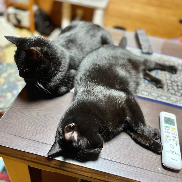 F09f4694 91f8 4376 b14d da78e465c447 1690030439449