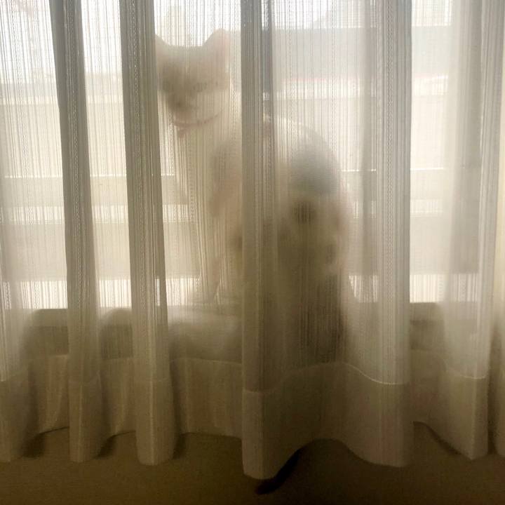 F09f4a69 c305 4509 965a 69ef6b163240 1577317771655