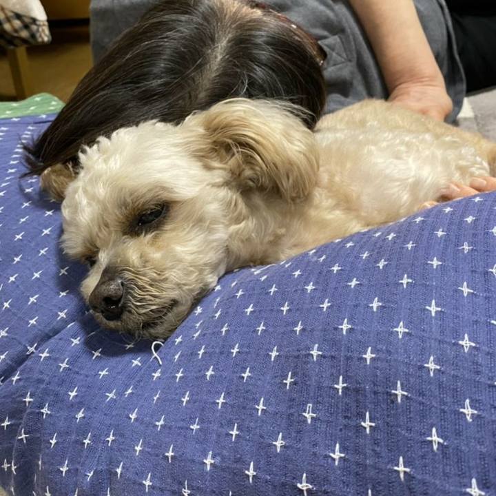 F09f60d3 1a17 4ed3 8356 ae7835c56f55 1620567939886