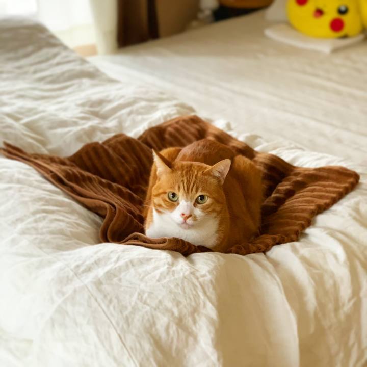 F09f6317 47fb 4ac0 9810 eabacc03b38a 1570934457568