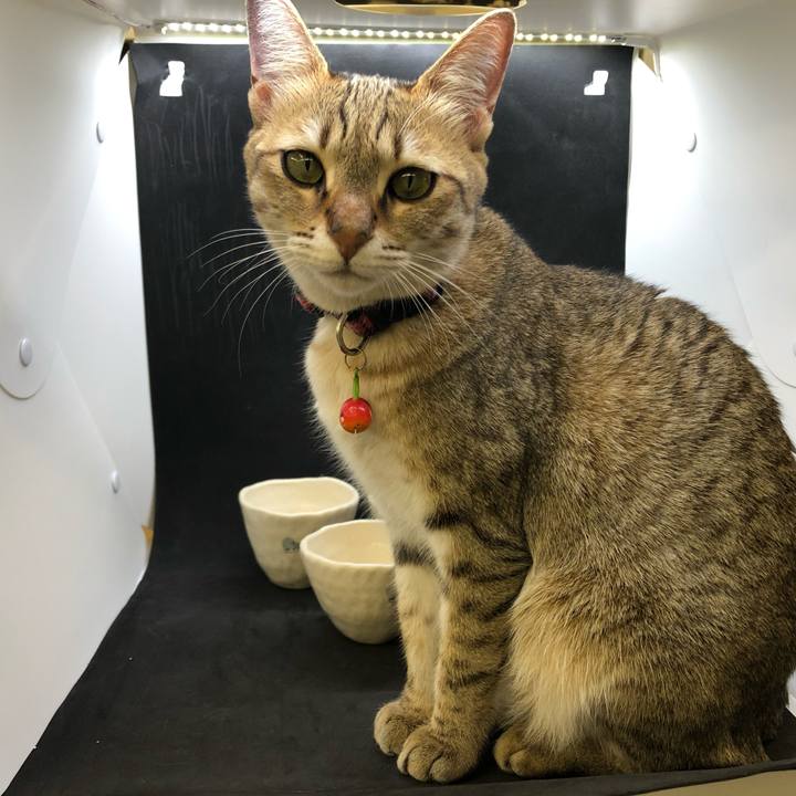 F09f7dd7 6aa4 4d03 a8a7 4a2fb64df91e 1616576112818