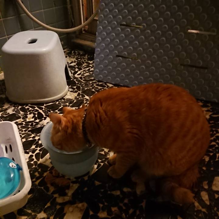 F09fab55 a7d9 4df0 8d85 48809d8229dc 1641462440150