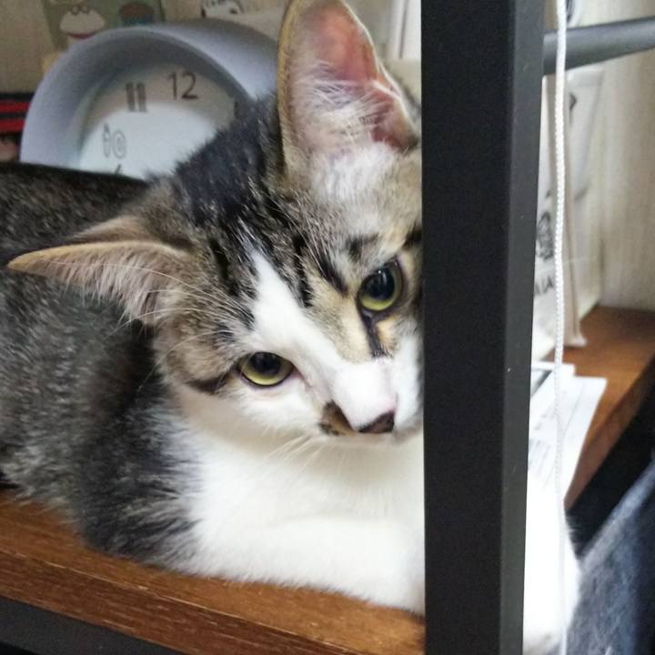 F09fb363 678f 48e7 aa54 db2e8f4f591b 1611663668148