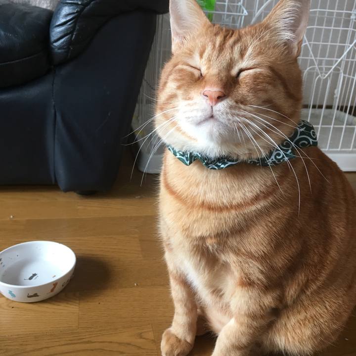 F09fcca4 b43d 4b6e 9ee9 6861e602e107 1549839531687