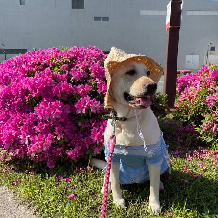 F09fd4ef 77ce 4319 a683 0b2799daac2d 1651363505409