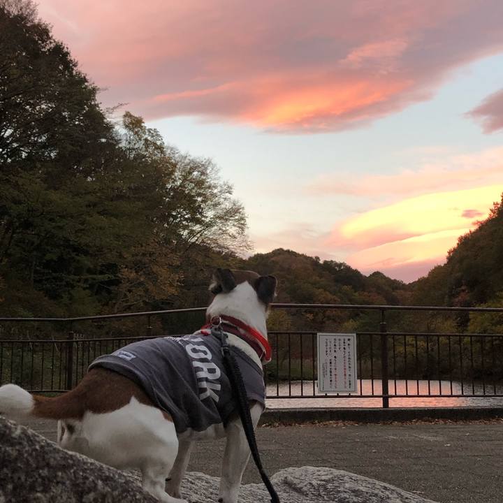 F09ff42e 9e24 4132 8cb2 b1716d5e226b 1605826008578