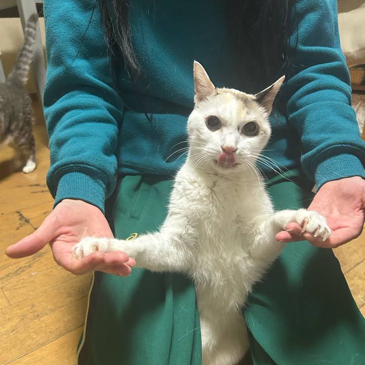 F0a03be1 d413 47ff bcd3 fdcb520e9bc4 1761745889928