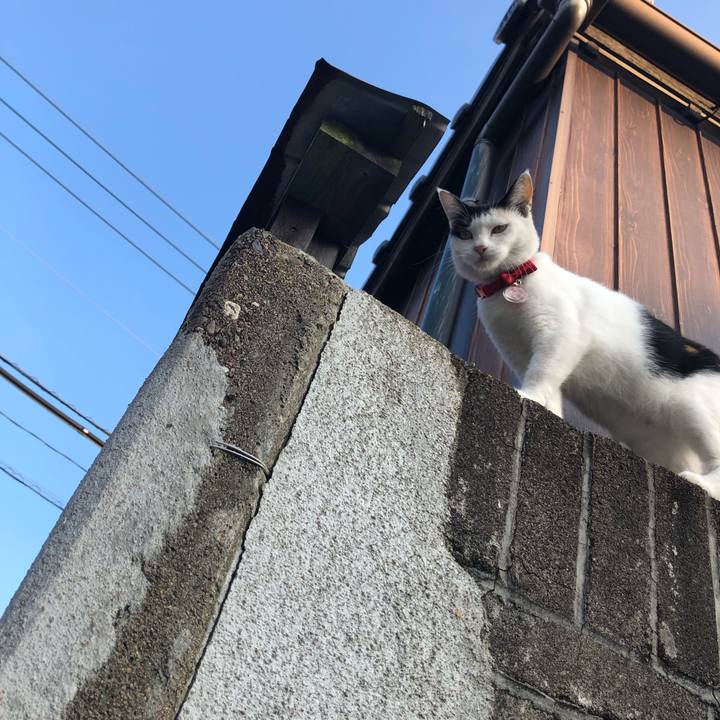 F0a09179 b87b 4b22 8c97 d25d682e2b1f 1632089789514