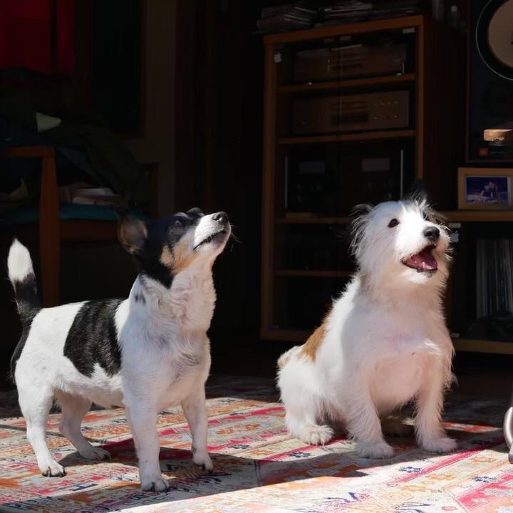 F0a0b5b2 2047 4e48 9ec2 1af980d79ca7 1659917552520