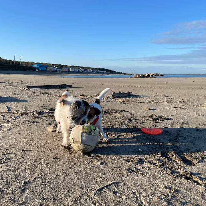 F0a0b5e1 c5f7 4416 9bb7 21f2975aea89 1668730627851