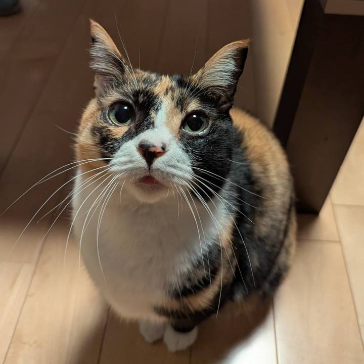 F0a0e649 aba5 413d 8c48 bbe16ed04324 1772434901806