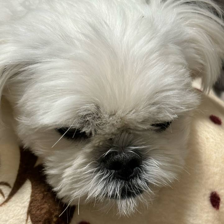 F0a0fe4e 1c54 4da9 bd20 a0eb29501241 1732086426387