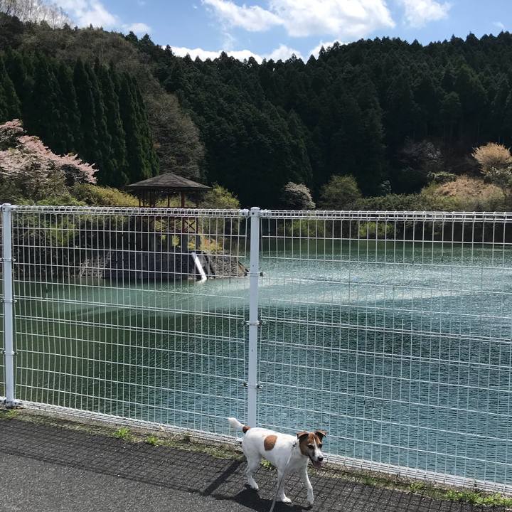 F0a143a2 3c63 481b aed9 a71347c35494 1523182224017