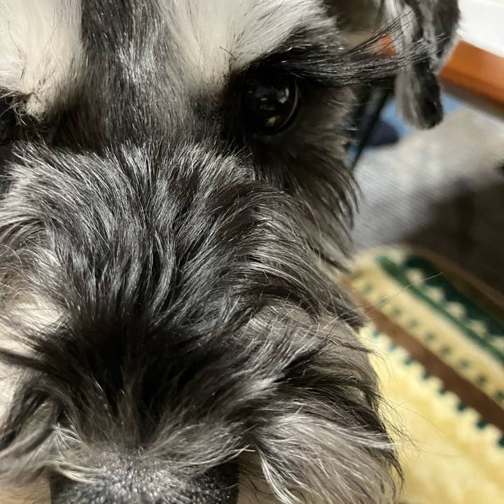 F0a16149 91bf 4dd5 808d ddc112baa73f 1735781111726