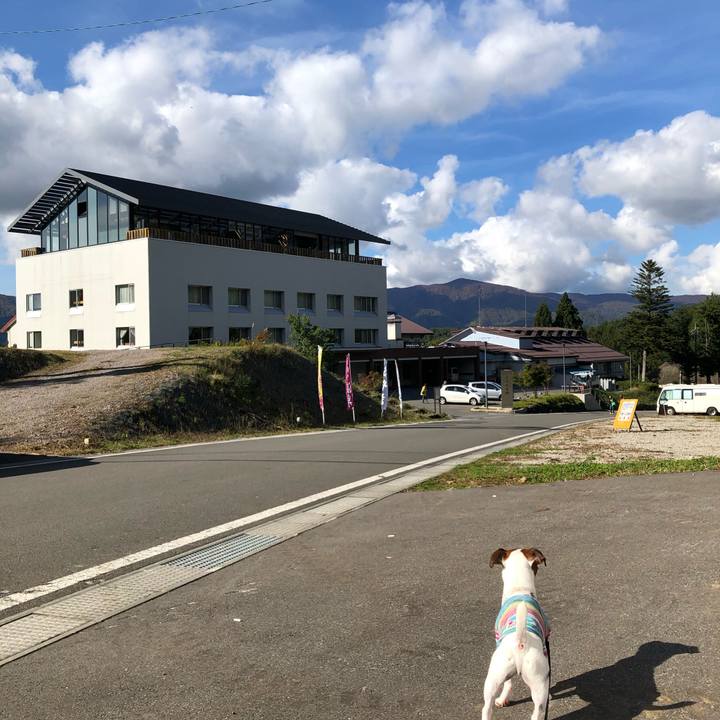 F0a16b24 c721 4152 83e6 b27a492a47e0 1571819896416