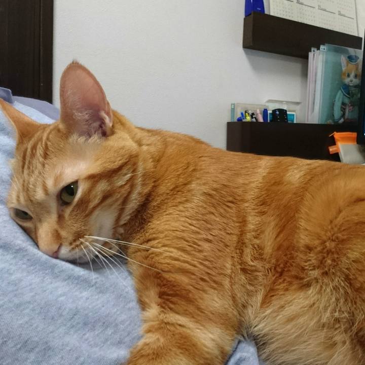 F0a171e7 eaf6 48c3 8692 67be963d91ae 1524486614948