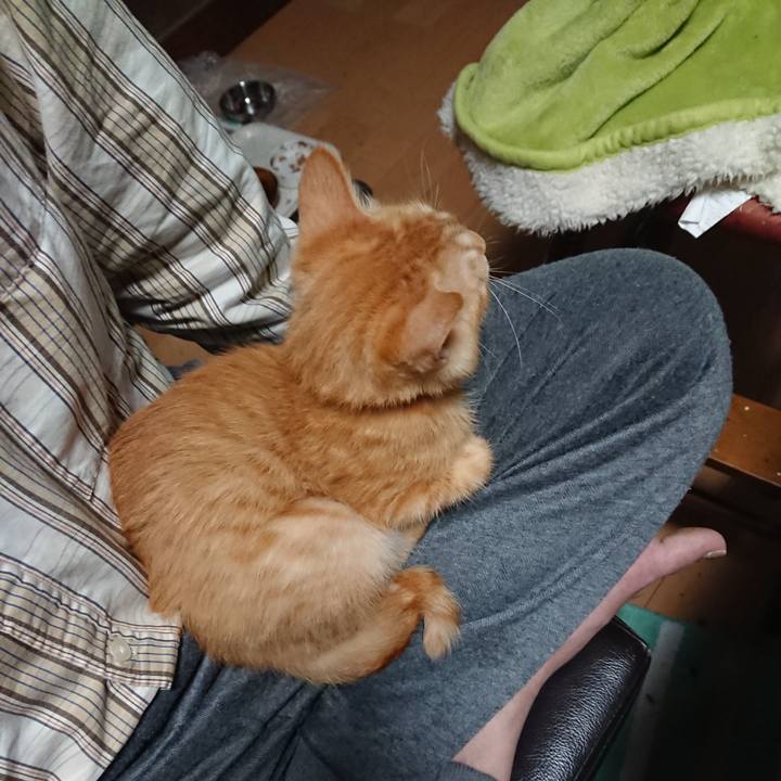 F0a172a1 df3e 4b1c a6aa 93e759b1c4d1 1632170904082