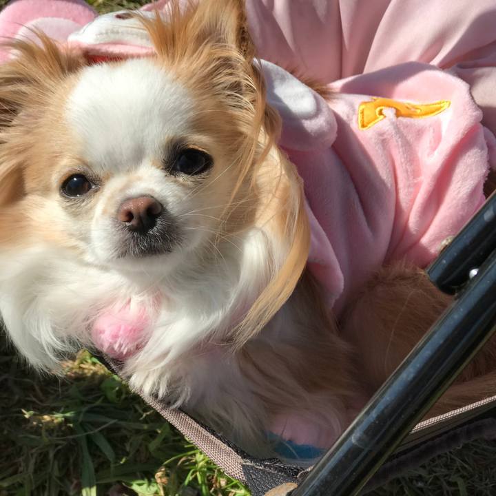 F0a1fe7f 5708 41ef 838d 567976355a84 1604818028511