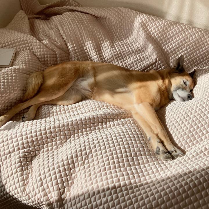 F0a2068d 6263 417f b7db f5b85c33c8bd 1758623438829