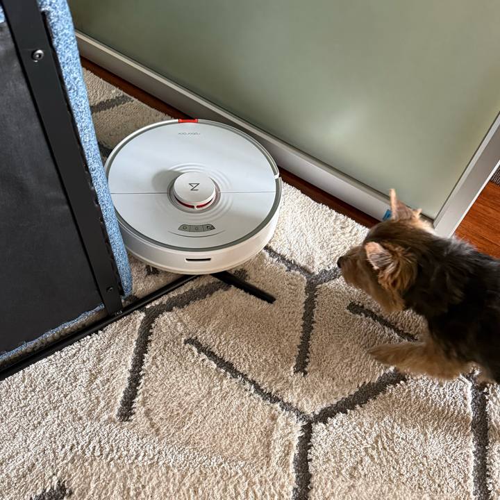 F0a2165d 9bd4 4674 9088 bfb90bd85392 1766492848213