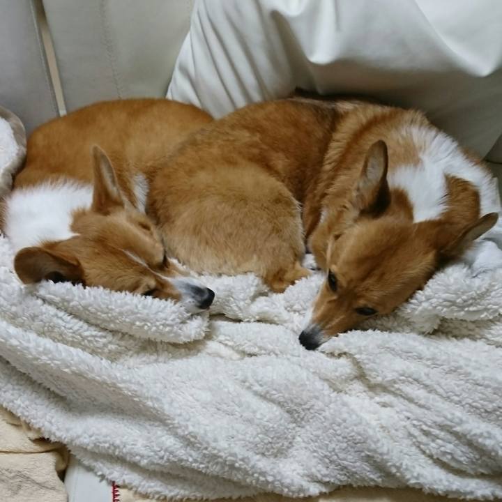 F0a2256f 2d2f 438f 9593 ff0f688f2c06 1549112272827