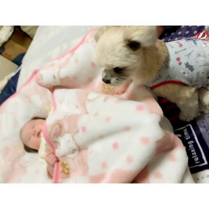 F0a253ff 05b6 4354 a226 50c1536d7a58 1551412249033