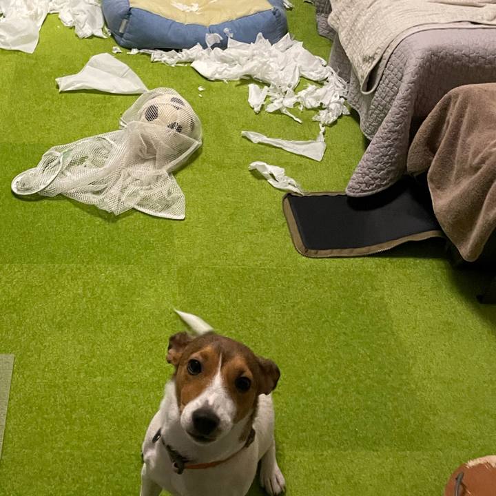 F0a26240 9944 486c 8a6d 965fb472e665 1695902475651