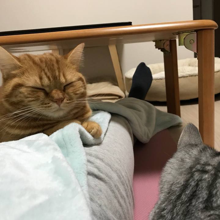 F0a2ad95 d2e9 4b59 9375 e6b1478a5345 1511086482430