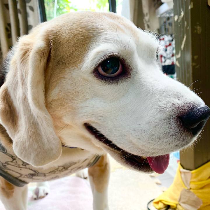 F0a2d2df dfde 45ef 8148 299f168e56f1 1623469087133