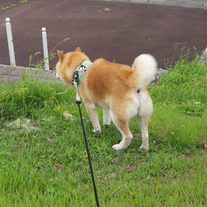 F0a2ea37 2721 411a a535 bf3d9df22dd9 1658477510151