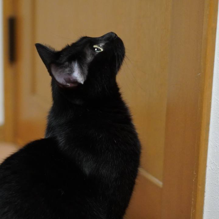 F0a2ee5e b341 46a8 9807 8f022f38c430 1661859300198