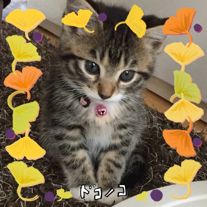 F0a2f9aa 35c9 4237 92d7 49ee1591dcd3 1729521091379