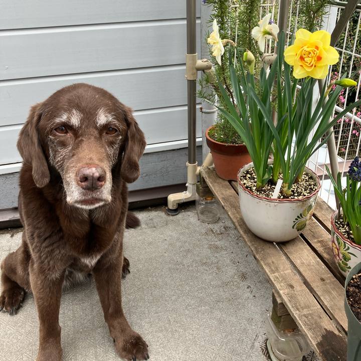 F0a30c25 3616 497b b18d eefb117005a4 1774949745874