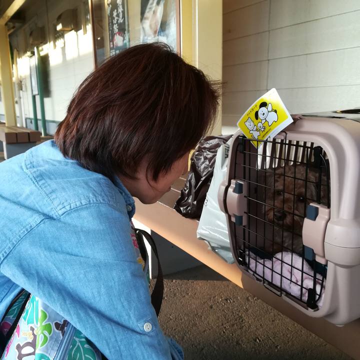 F0a318d2 bae8 4522 8cbe bd83641d5036 1532338933898