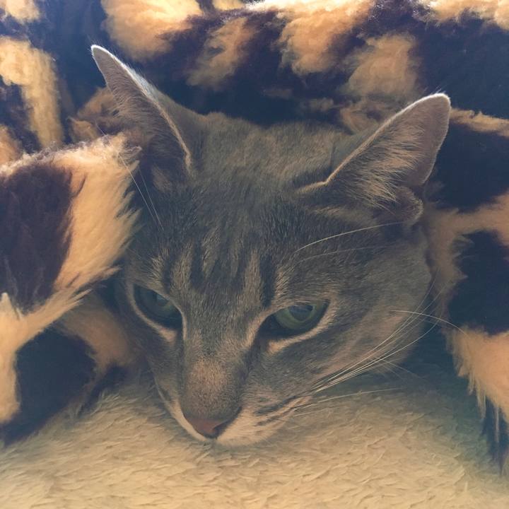 F0a330a2 0b51 45bd aeca b59fc14ddfbc 1581219501792