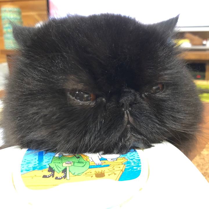 F0a3426f 2ae1 4e1e 83df f643fc849c85 1630489142142