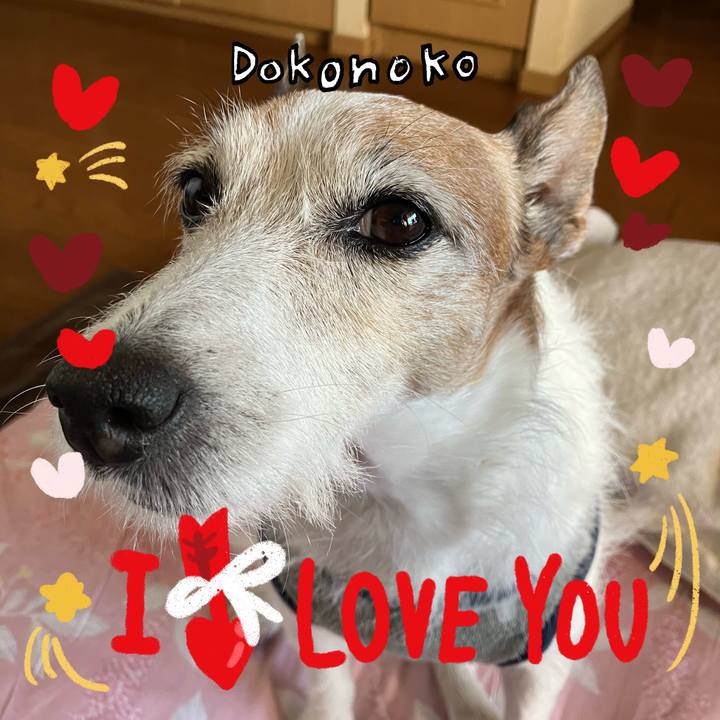 F0a35065 ba06 487c 8d18 82e1959f9d69 1707348964837