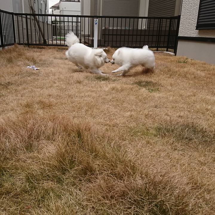 F0a359b9 3ba4 4f96 b51f a55d4b447d93 1550286674869