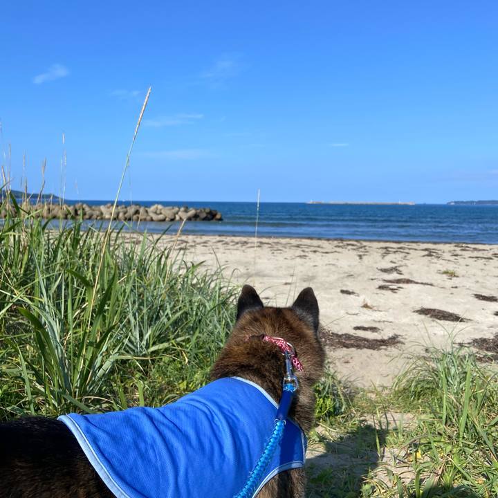 F0a360cd 5598 40e1 b84e 10685b200275 1690419919190