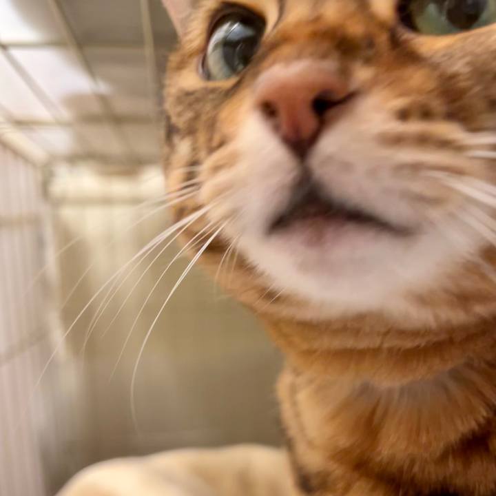 F0a36168 f553 4a71 b50c 633a458af92b 1676863641573