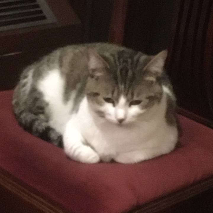 F0a37e8b 883f 46d7 ad02 c8b0dda134d4 1633480901971