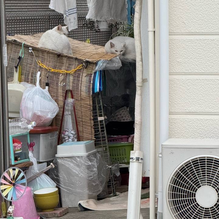 F0a3b04d d6e8 43af 9b2c 48d4ebca0789 1760063990294