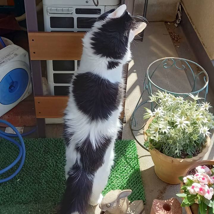 F0a3bc3c 85c8 4802 bfed a2d7d45264c6 1619830680139