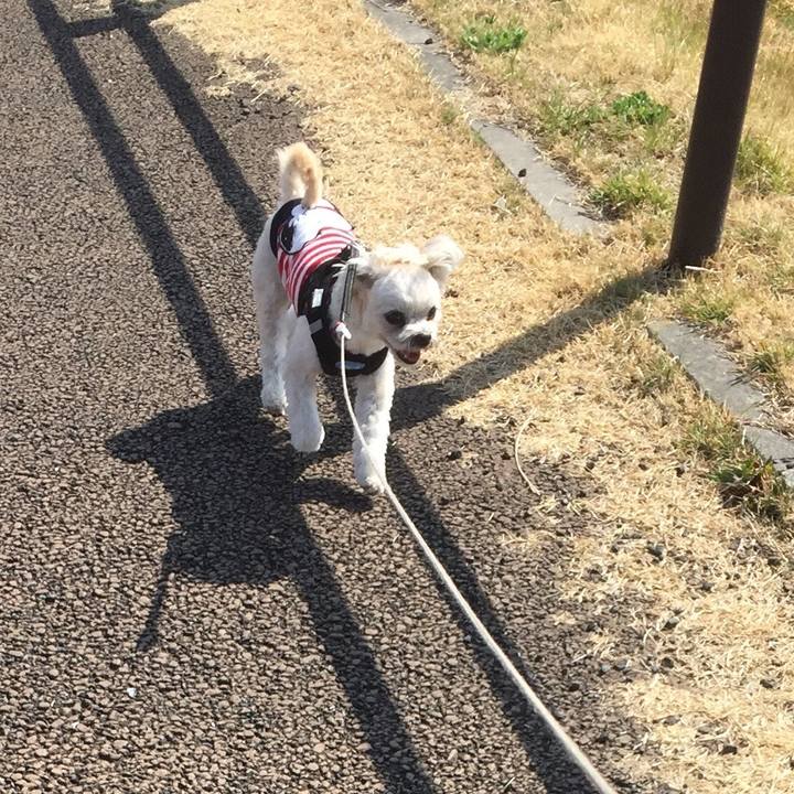 F0a3cc65 3aeb 4c80 927b 50fa0c96852c 1520149717904