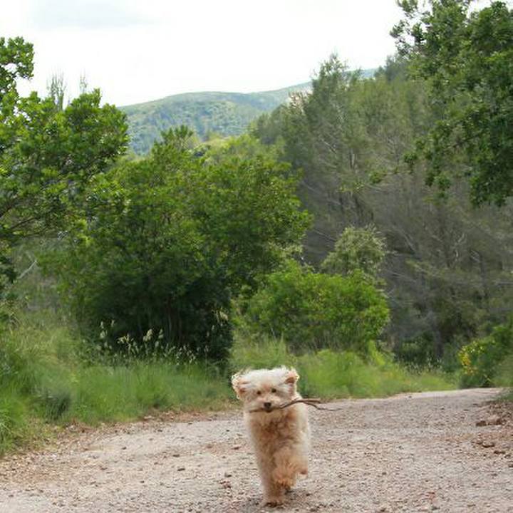 F0a3f695 79d3 4c73 9d79 6db579227cae 1591279307522