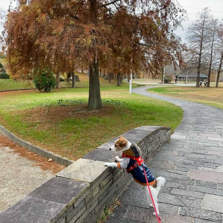 F0a4070d 4a30 4658 9900 21adec31de5a 1638691491672