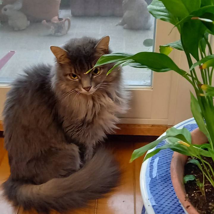 F0a411e0 d67e 4c26 9beb 896d21655007 1602114528541