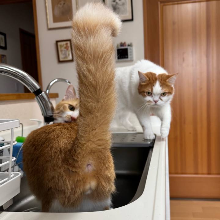 F0a41958 088a 480b 9b14 5998a227258c 1773369271269