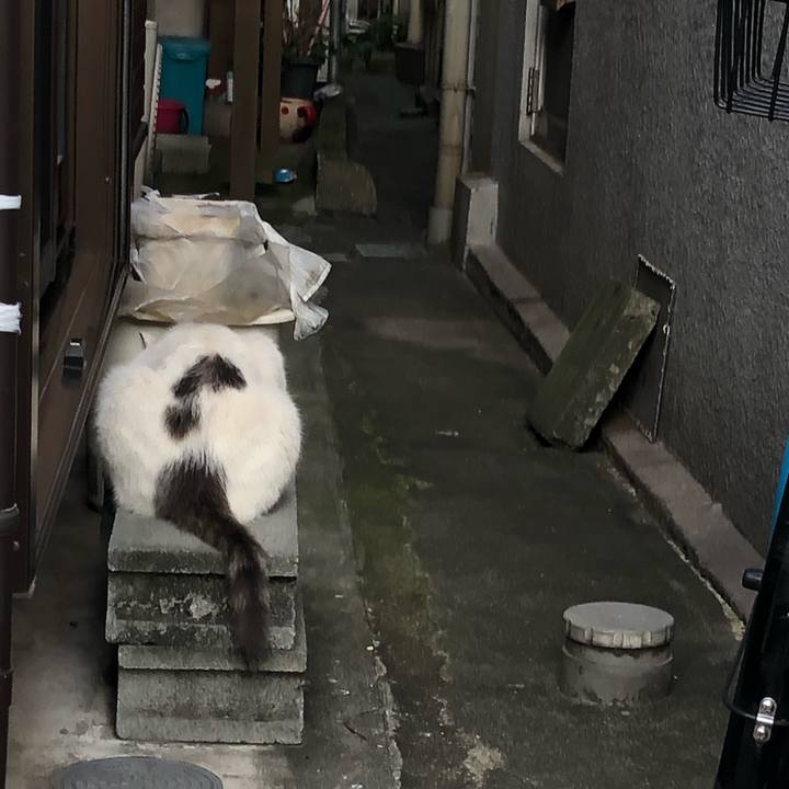 F0a420ef c604 4ad1 b191 71458ca13f19 1565553064761